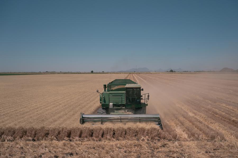 Canh tác nông nghiệp ở Brazil - Ảnh: Washington Post