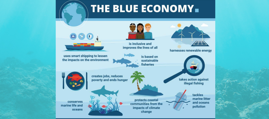Công bố báo cáo về kinh tế biển, hướng đến kịch bản phát triển bền vững - Ảnh 1