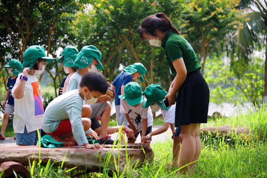 Trẻ em phố thị vui Tết thiếu nhi trong đô thị triệu cây xanh - Ảnh 5