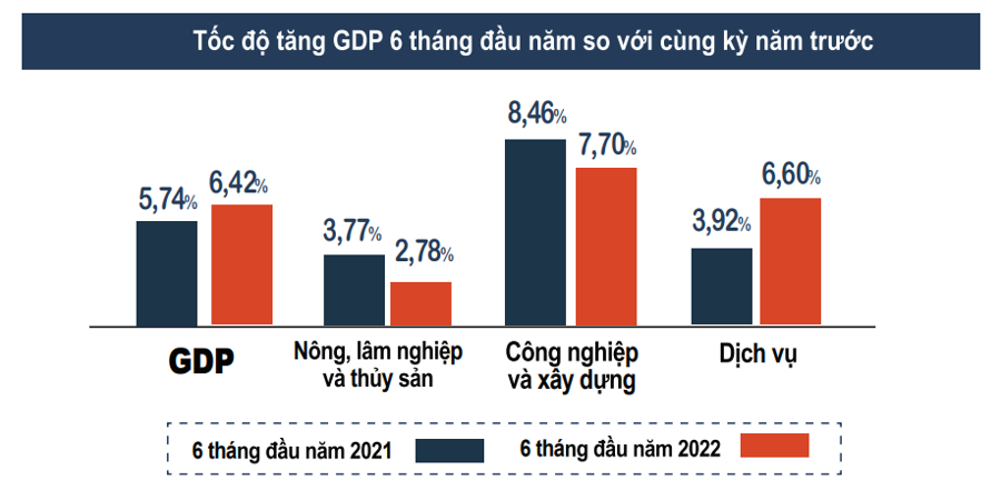 Tốc độ tăng trưởng GDP quý 2/2022 cao nhất một thập kỷ - Ảnh 1