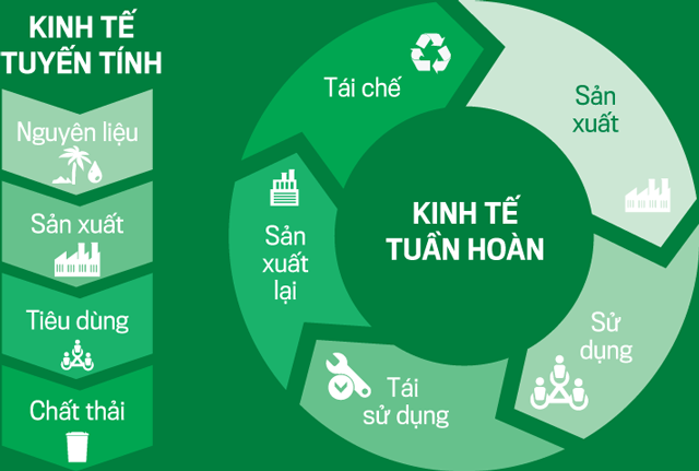 Tổng hợp 96 hình về mô hình kinh doanh xanh  NEC