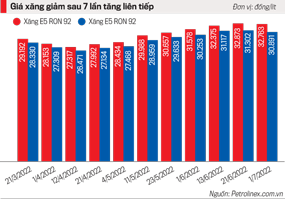 Ngăn hệ lụy từ giá xăng dầu tăng: Cắt giảm thuế đồng loạt hay hỗ trợ trực tiếp bằng tiền mặt? - Ảnh 1