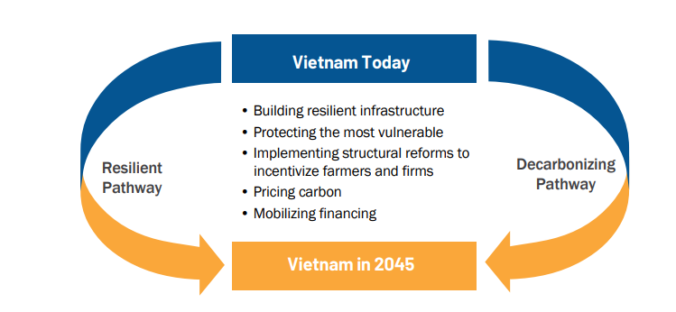 Action plan offered for a high-income, low-carbon future - Ảnh 1