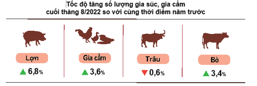 Sản xuất nông nghiệp 8 tháng năm 2022: Chăn nuôi thuận lợi, xuất khẩu cá tra tăng trưởng chậm - Ảnh 2