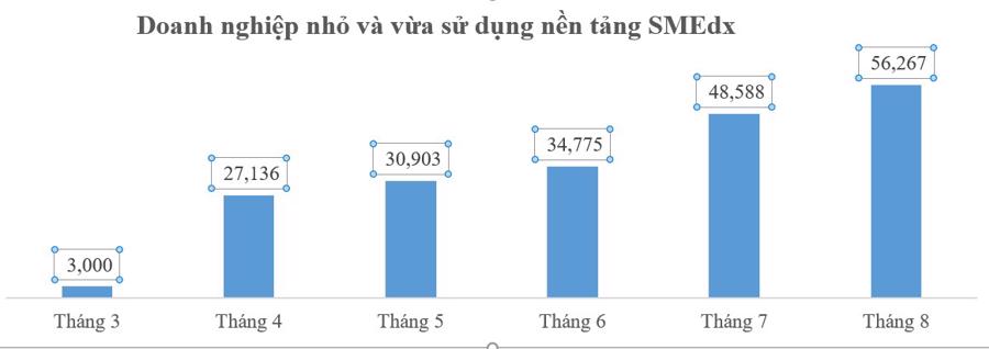 Gần 380 nghìn doanh nghiệp đã được tiếp cận các nền tảng số Make in Việt Nam  - Ảnh 2