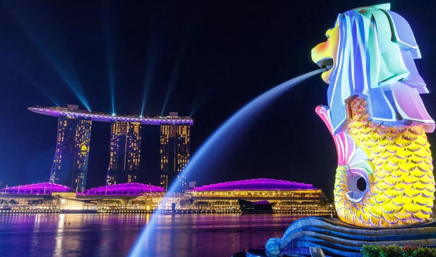 VietCham Singapore - “Bàn đạp” cho doanh nhân Việt tiến ra biển lớn - Ảnh 2