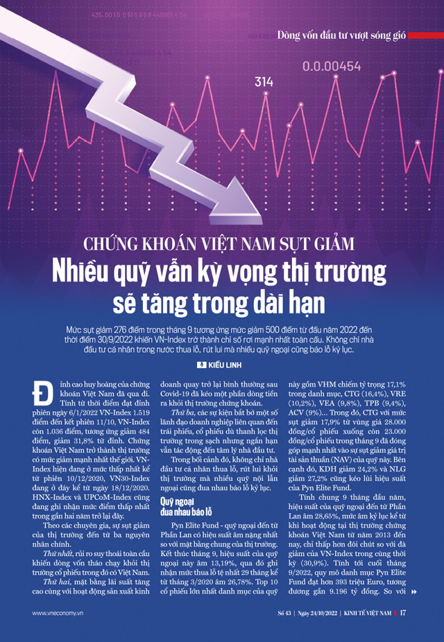 Chứng khoán Việt Nam sụt giảm: Nhiều quỹ vẫn kỳ vọng thị trường sẽ tăng trong dài hạn - Ảnh 1