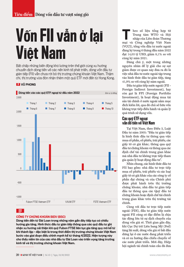 Vốn FII vẫn ở lại Việt Nam - Ảnh 1