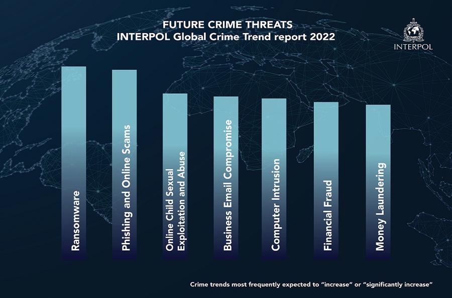 Interpol: Metaverse có thể dẫn đến gia tăng tội phạm mạng - Ảnh 1