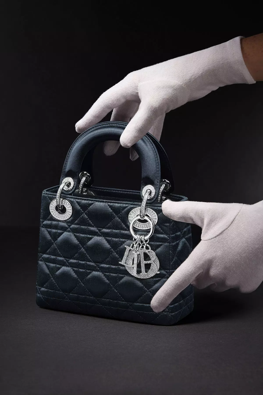THE ICONIC LADY DIOR  Bags  DIOR US