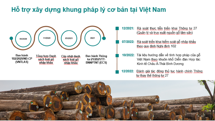 Việt Nam quyết liệt thực thi FLEGT - Ảnh 1
