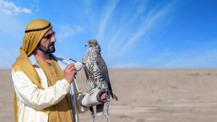 Quốc vương Sheikh Mohammed bin Rashid al Maktoum của Dubai - Ảnh: Khaleej Times