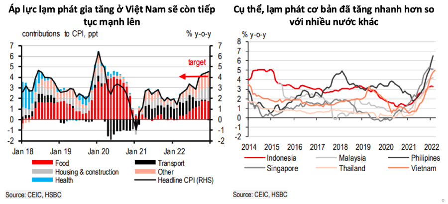 HSBC: Việt Nam tăng trưởng 8% nhưng cần thận trọng - Ảnh 2