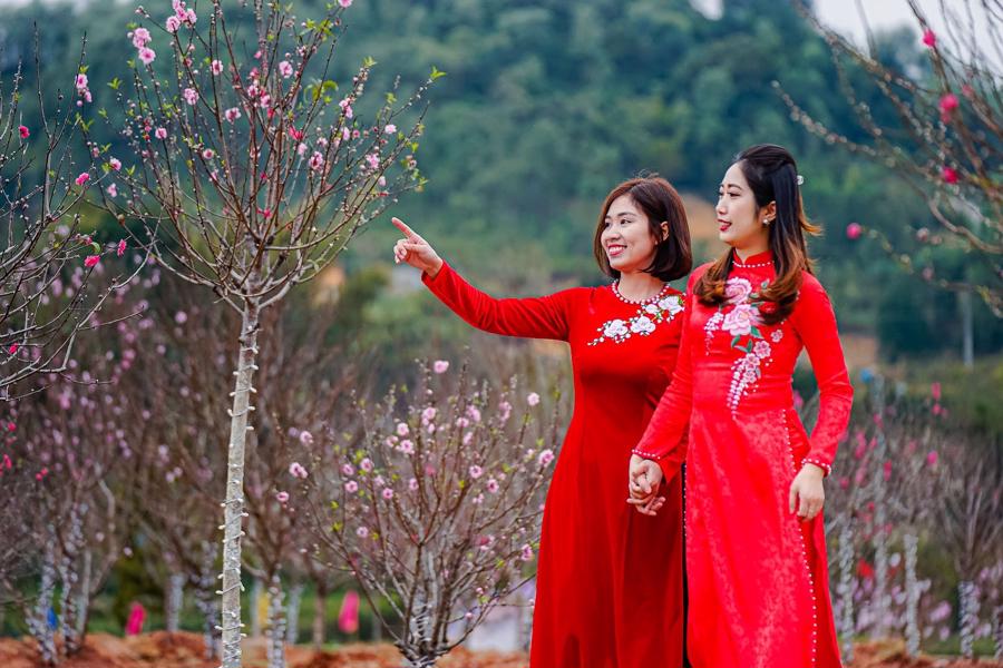 Hoa đào trong tâm thức người Việt là loài hoa đặc biệt, mang giá trị văn hóa tinh thần, tượng trưng cho sức sống, sự may mắn và hạnh phúc của người Việt.