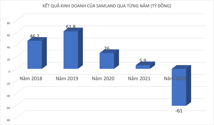 Địa ốc SamLand mất sạch thành quả kinh doanh vì đầu tư chứng khoán, "ôm" toàn cổ phiếu HPG, SSI - Ảnh 1