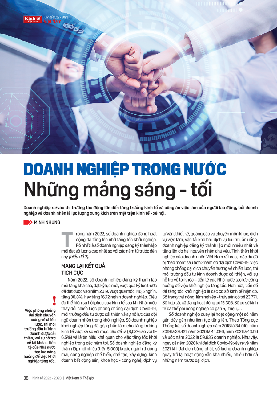 Doanh nghiệp trong nước: Những mảng sáng - tối - Ảnh 2