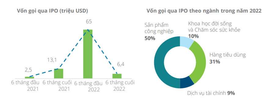 Tổng quan thị trường IPO Việt Nam. Nguồn: Deloitte Việt Nam