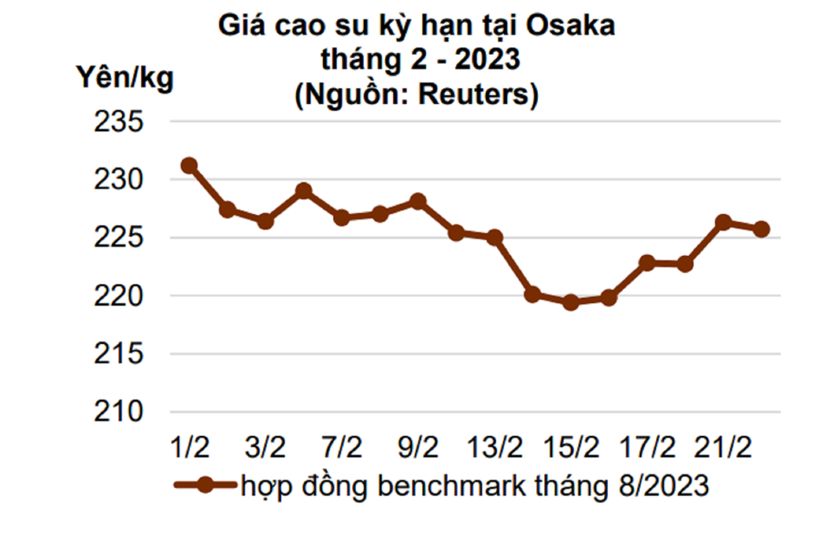 Trung Quốc mở cửa trở lại, vì sao giá cao su xuất khẩu vẫn liên tục giảm?  - Ảnh 1