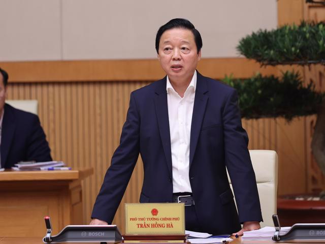 Ph&oacute; Thủ tướng Trần Hồng H&agrave; ph&aacute;t biểu tại hội nghị - Ảnh: VGP