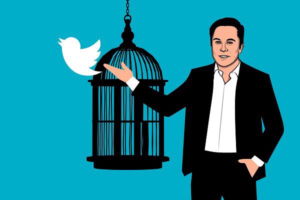 Elon Musk đang bí mật phát triển một dự án trí tuệ nhân tạo tại Twitter - Ảnh 1