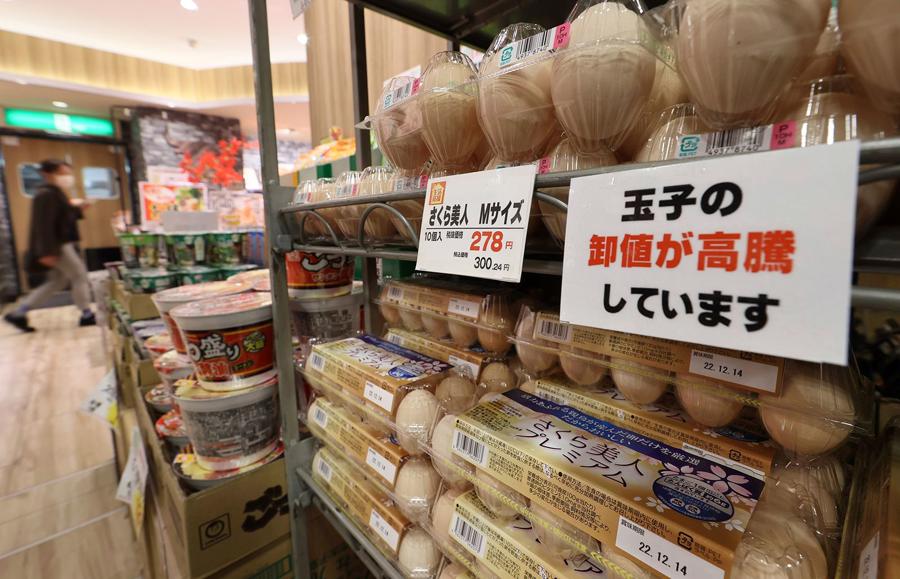 T&igrave;nh trạng thiếu hụt nguồn cung trứng trầm trọng đ&atilde; đẩy&nbsp;gi&aacute; trứng tại Nhật Bản tăng cao nhất trong 30 năm.