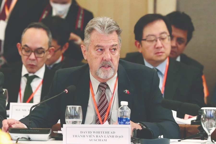The path to a green economy - Ảnh 6