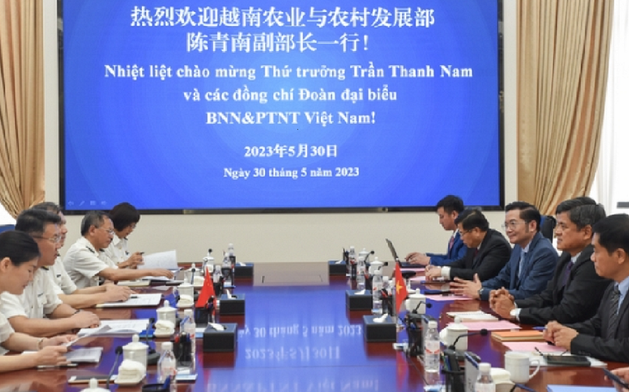 Đoàn công tác Bộ Nông nghiệp và Phát triển nông thôn hội đàm với Cục Hải quan Nam Ninh (Trung Quốc).