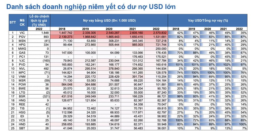 Tỷ giá ổn định, loạt doanh nghiệp nợ USD nhiều như Hòa Phát, Phát Điện 3... có đỡ khó?  - Ảnh 2