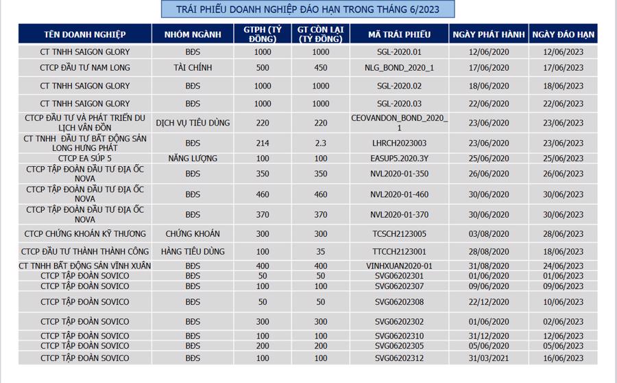 Hai cổ đông lớn tiếp tục bị bán giải chấp hơn 2 triệu cổ phiếu NVL - Ảnh 2