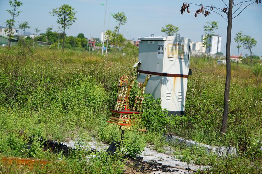 Cỏ dại mọc um t&ugrave;m, bao tr&ugrave;m c&aacute;c trạm điện trong khu&ocirc;n vi&ecirc;n dự &aacute;n.