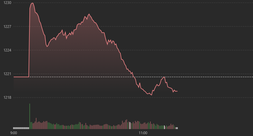 Vn-Index giảm chậm, nhưng cổ phiếu rơi rất nhanh.