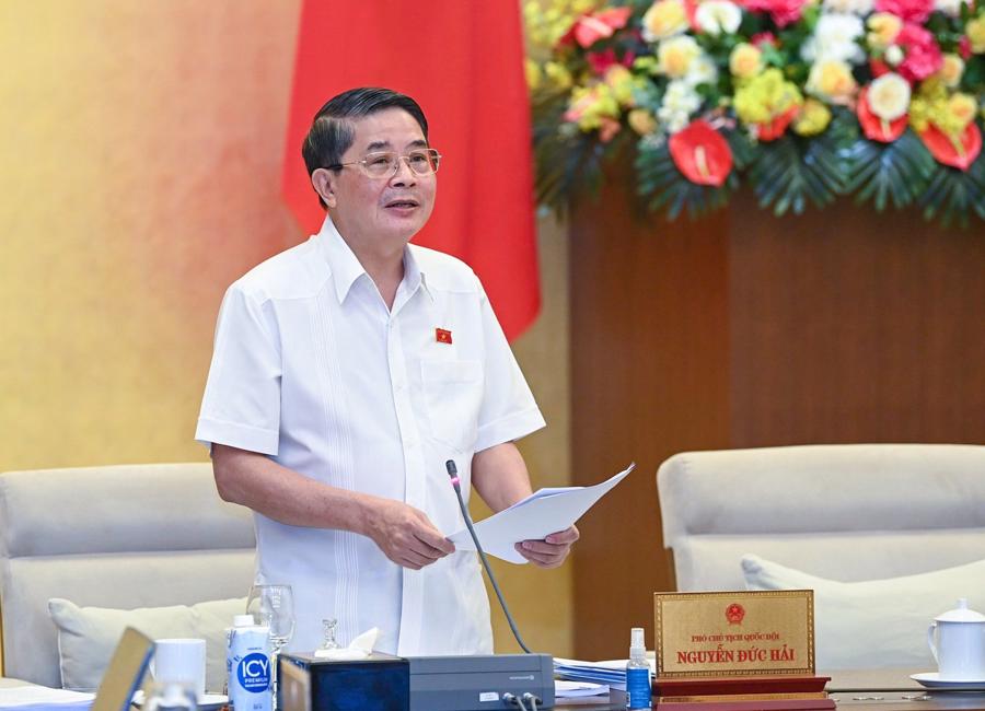 Ph&oacute; Chủ tịch Quốc hội Nguyễn Đức Hải ph&aacute;t biểu kết luận Phi&ecirc;n thảo luận.