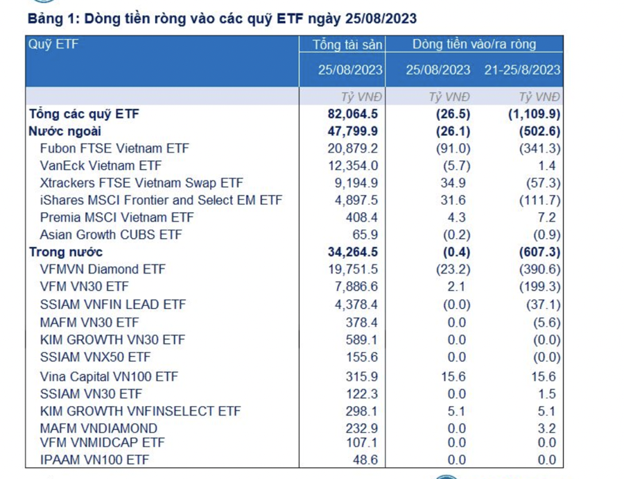 Các ETF tại Việt Nam bị rút ròng 2.500 tỷ đồng từ đầu tháng 8 - Ảnh 1