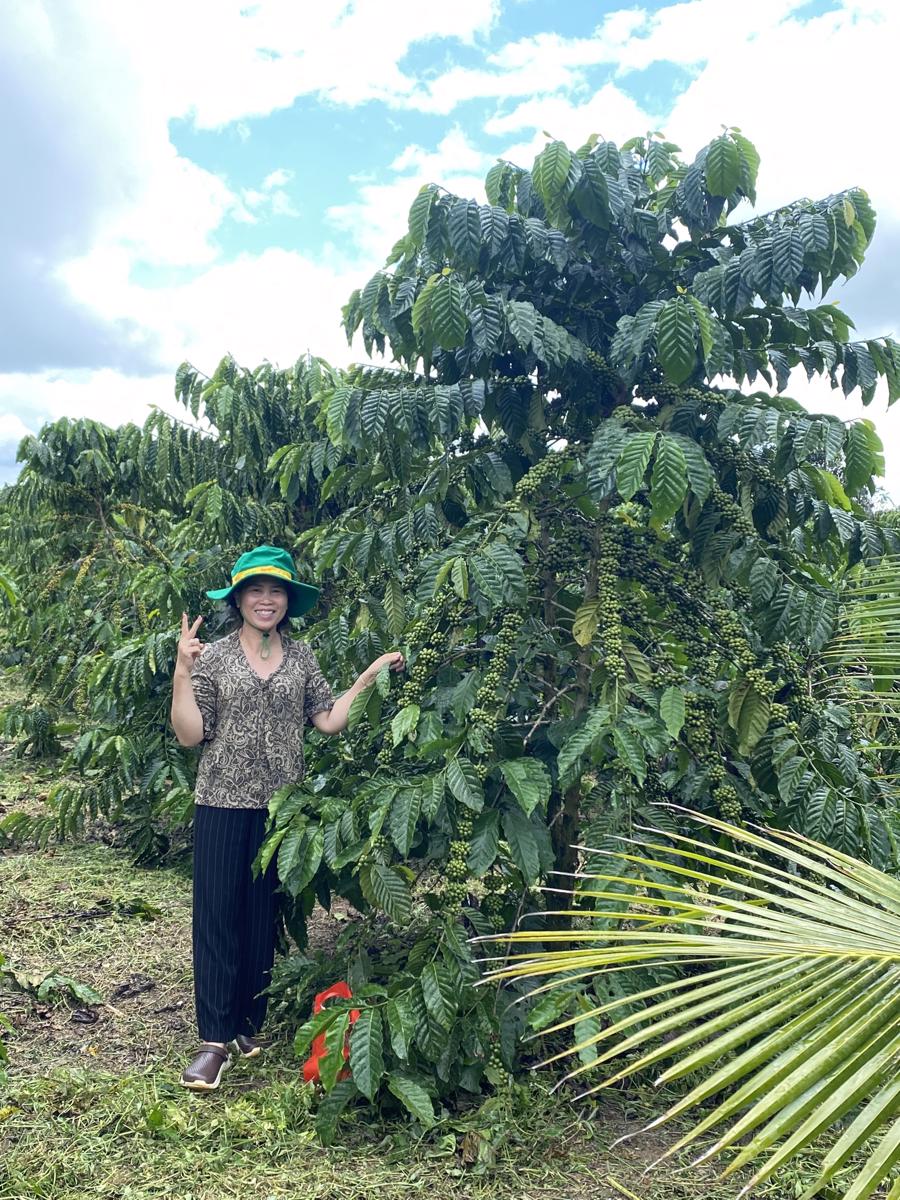 Chị Nguyễn Thị Tuyết Li&ecirc;n (Thị trấn Lộc Thắng, Bảo L&acirc;m, L&acirc;m Đồng) vui mừng b&ecirc;n vườn c&acirc;y đạt năng suất cao khi sử dụng sản phẩm NPK Ph&uacute; Mỹ vi sinh.