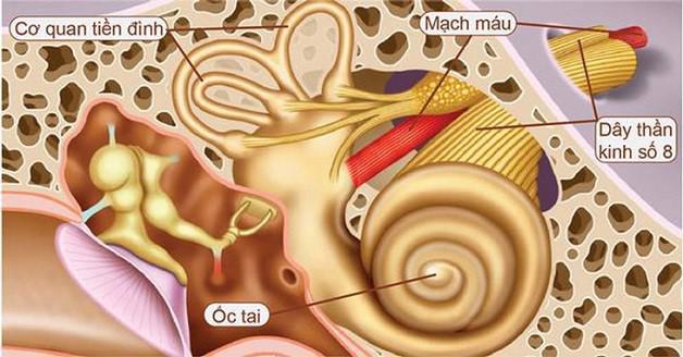 Những triệu chứng rối loạn tiền đình không nên bỏ qua - Ảnh 1