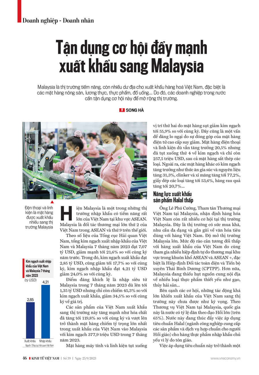 Tận dụng cơ hội đẩy mạnh xuất khẩu sang Malaysia  - Ảnh 1