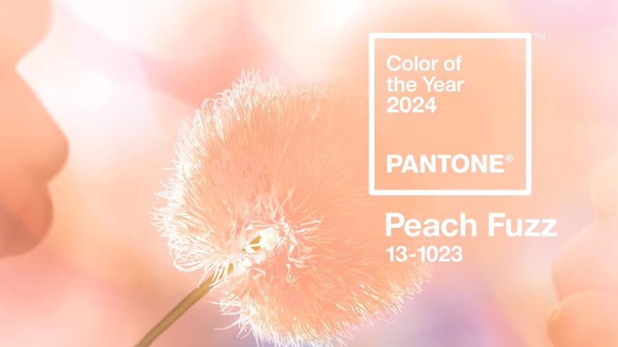 PANTONE 13-1023 &ldquo;Peach Fuzz&rdquo; l&agrave; m&agrave;u sắc của năm 2024.