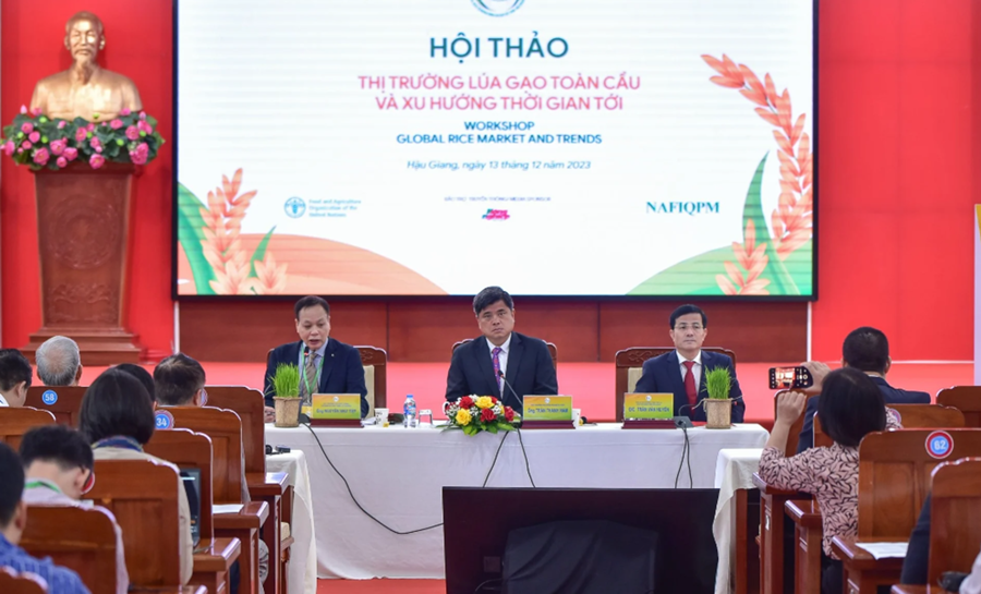 Phát triển chuỗi giá trị lúa gạo Việt Nam: Trách nhiệm và bền vững - Ảnh 2