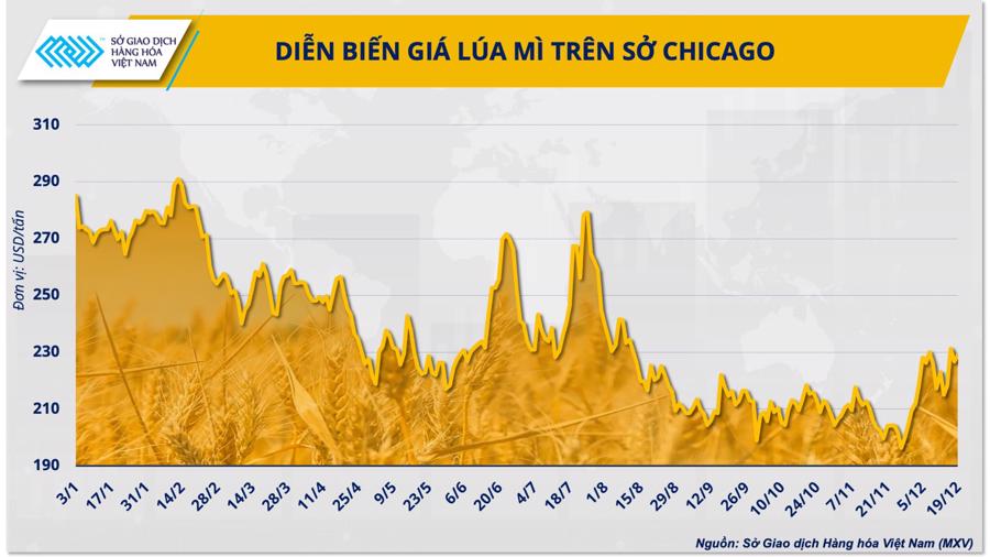 Năm sự kiện nổi bật của thị trường hàng hóa năm 2023 - Ảnh 2