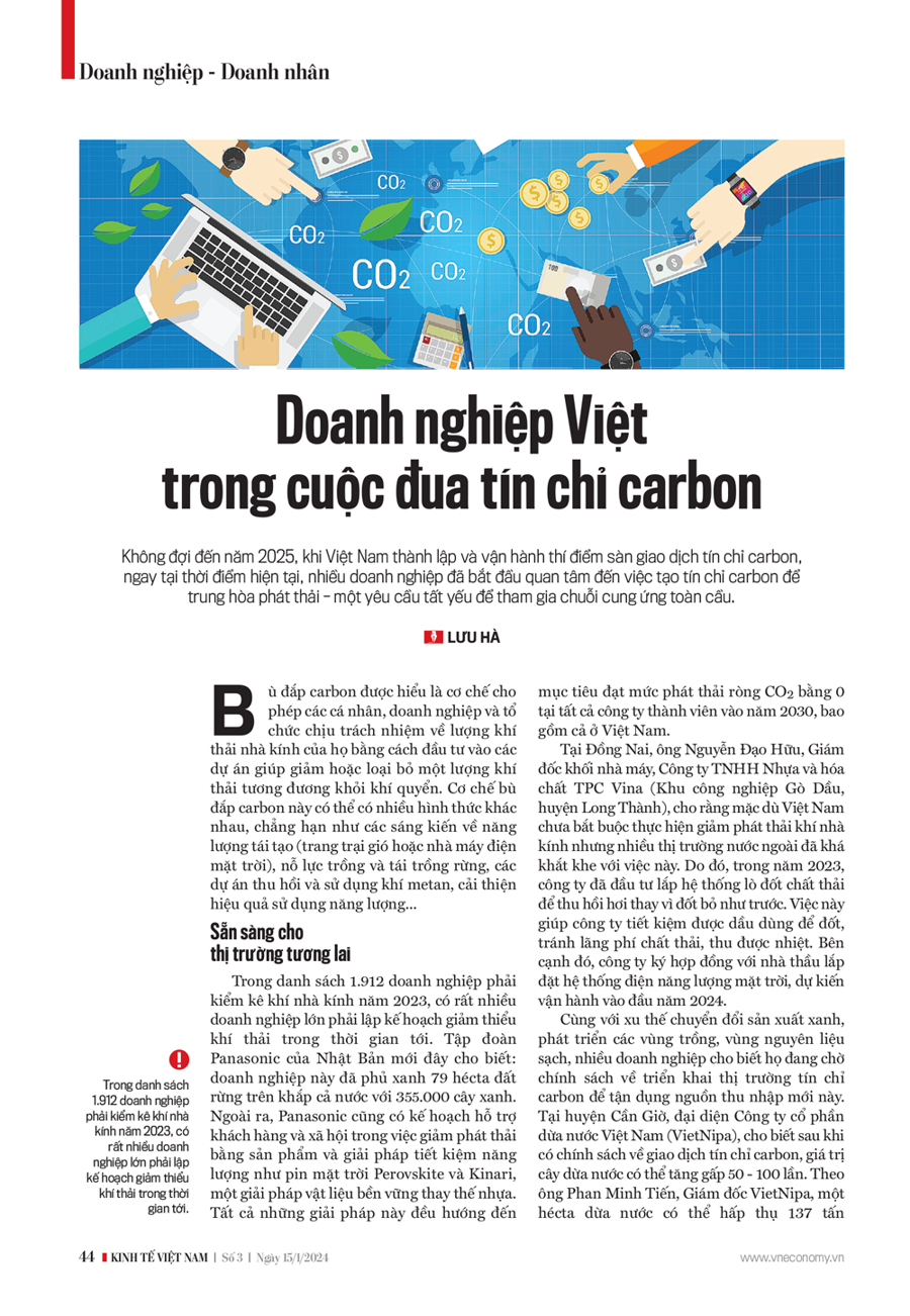 Doanh nghiệp Việt trong cuộc đua tín chỉ carbon - Ảnh 2