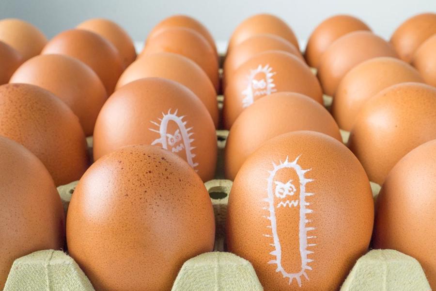 Ăn trứng sống, luộc trứng kh&ocirc;ng kỹ, người d&acirc;n cũng c&oacute; thể nhiễm vi khuẩn Salmonella.
