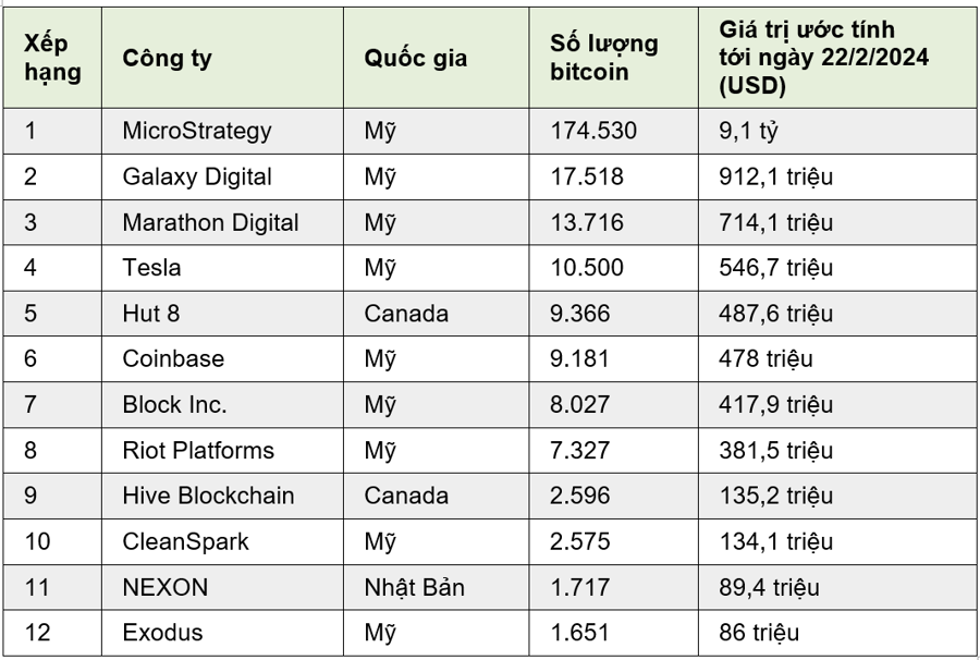 Những công ty niêm yết nào đang nắm giữ nhiều bitcoin nhất? - Ảnh 2