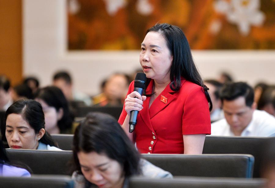 Đại biểu Lý Tiết Hạnh, Đoàn đại biểu Quốc hội tỉnh Bình Định.