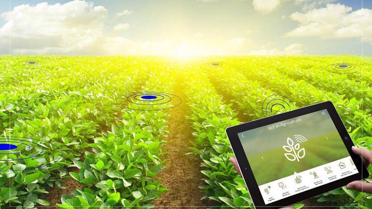 IoT trong nông nghiệp là những hệ thống tích hợp công nghệ hiện đại như robot, máy bay không người lái, cảm biến từ xa, và thị giác máy tính.