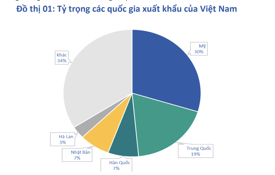 Doanh nghiệp xuất khẩu sẽ có vị thế tốt hơn trong các vụ kiện chống bán phá giá nếu Việt Nam được coi là nền kinh tế thị trường - Ảnh 1