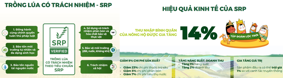 Gập ghềnh xây dựng chuỗi lúa gạo bền vững - Ảnh 1