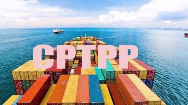 Vương quốc Anh gia nhập CPTPP sẽ mở rộng cơ hội tiếp cận thị trường cho hàng hóa Việt Nam - Ảnh 1