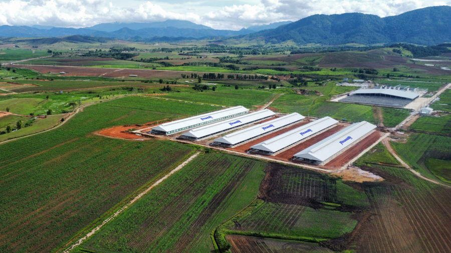 Trang trại Vinamilk L&agrave;o - Jagro tại cao nguy&ecirc;n Xi&ecirc;ng Khoảng (L&agrave;o) c&oacute; tổng mức đầu tư giai đoạn một l&agrave; 150 triệu USD.