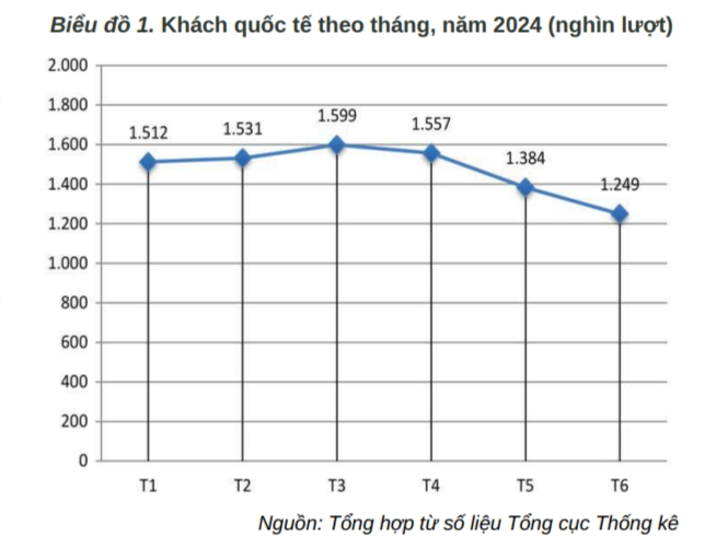 Gần 9 triệu lượt khách quốc tế đến Việt Nam trong 6 tháng đầu năm 2024 - Ảnh 1