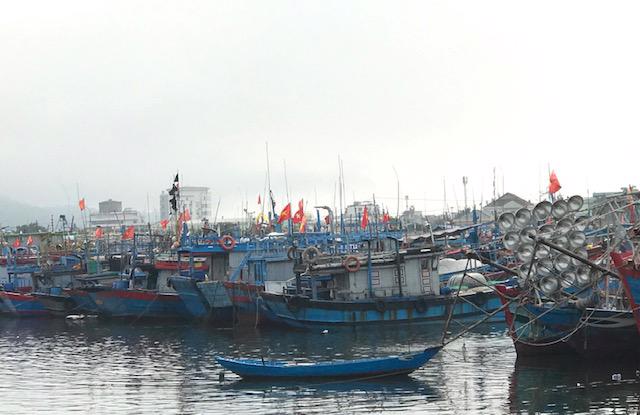 T&agrave;u c&aacute; v&agrave;o tr&aacute;nh b&atilde;o tại &Acirc;u thuyền Thọ Quang. Ảnh Ng&ocirc; Anh Văn